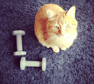 Fitness : dessiner de jolis bras