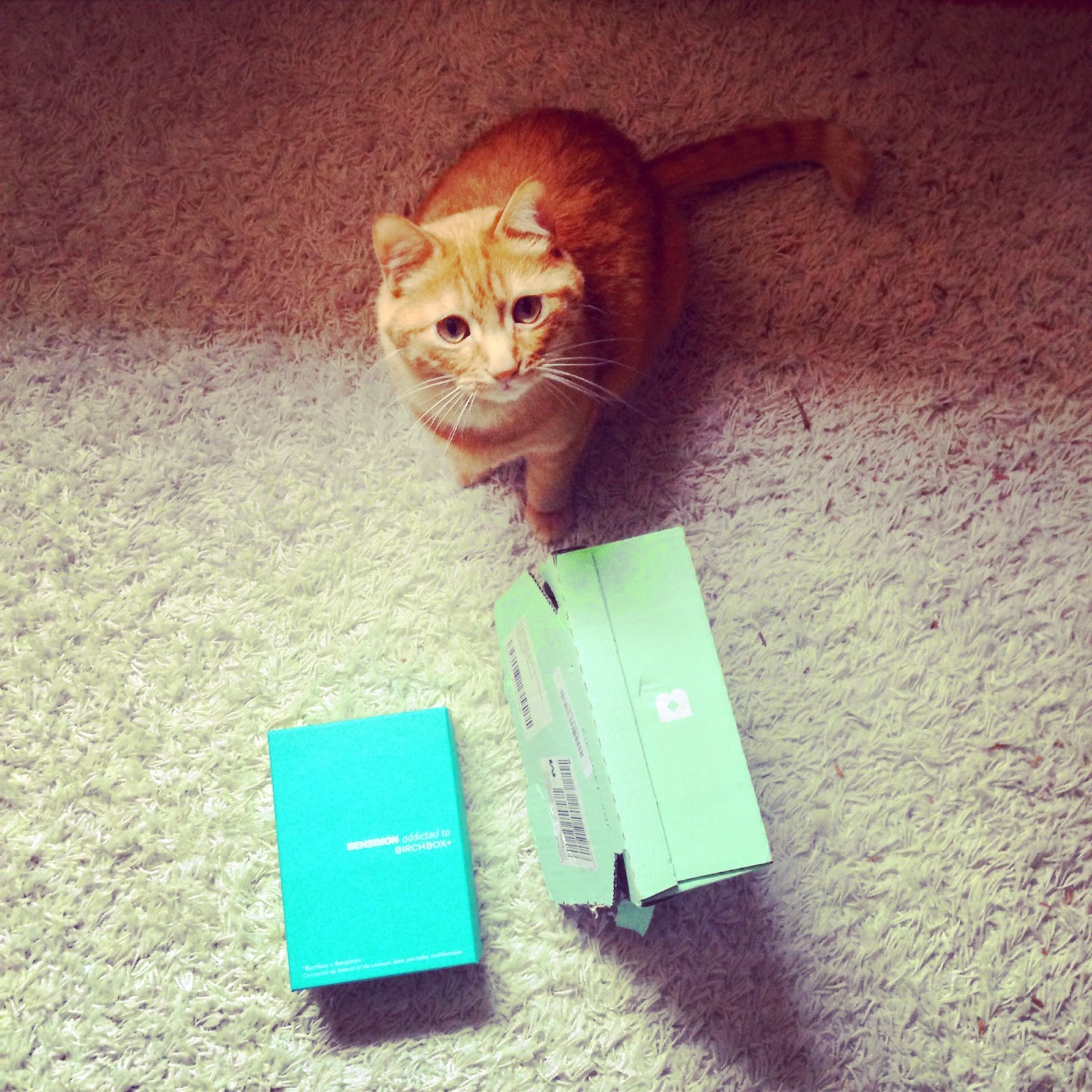 Birchbox juillet 2014 : ma première box beauté