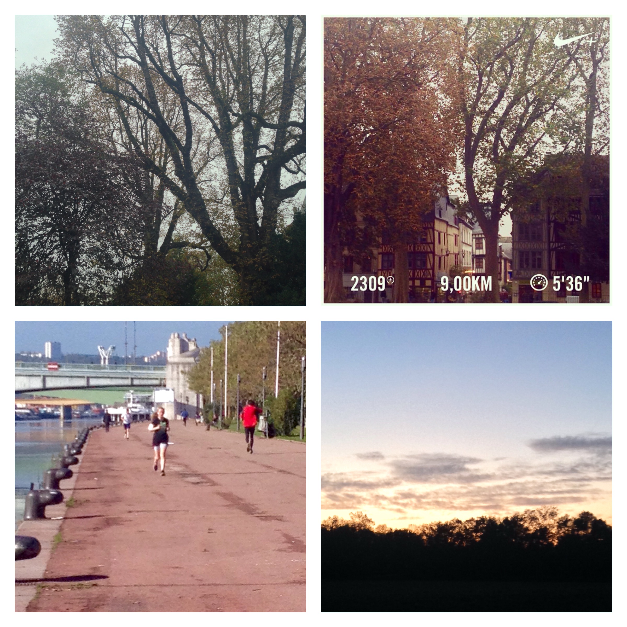 Running week #30 – 31